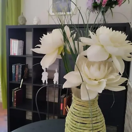 Apartment La Scalinata Naples